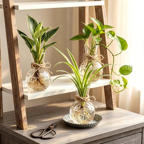 10 Pack Glass Plant Propagation Stations, Plant Terrarium Bulb Glass Propagation Vases with Hemp Rope, Clear Hydroponics Jars Gardening Gifts for Home Office Desk Decoration