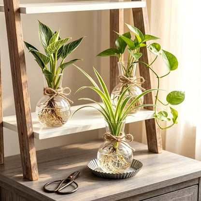 10 Pack Glass Plant Propagation Stations, Plant Terrarium Bulb Glass Propagation Vases with Hemp Rope, Clear Hydroponics Jars Gardening Gifts for Home Office Desk Decoration