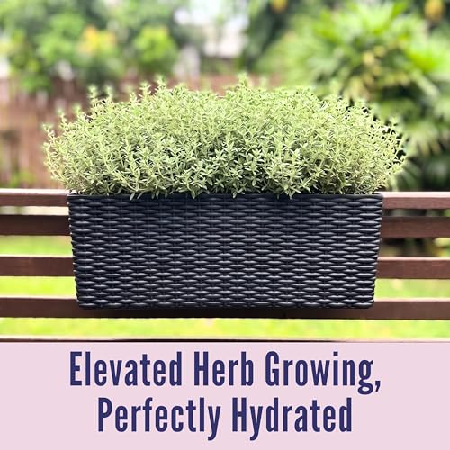 LaLaGreen Deck Railing Planter Box (20 Inch, 4 Pack) Black Rectangular Window Flower Boxes with Bracket, Self Watering System Hanging Planter Box for Outdoor Plant Container Herb Rail Fence Balcony - color: Black X 4