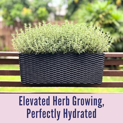 LaLaGreen Deck Railing Planter Box (20 Inch, 4 Pack) Black Rectangular Window Flower Boxes with Bracket, Self Watering System Hanging Planter Box for Outdoor Plant Container Herb Rail Fence Balcony - color: Black X 4