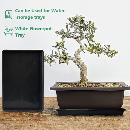 RooTrimmer 5 Pack Nursery Potting Tray, Carrying and Holding Plant Tray for Seeds Starting Pot, Collecting Drainage Water(Black) - color: Black, size: Holding Trays-5P