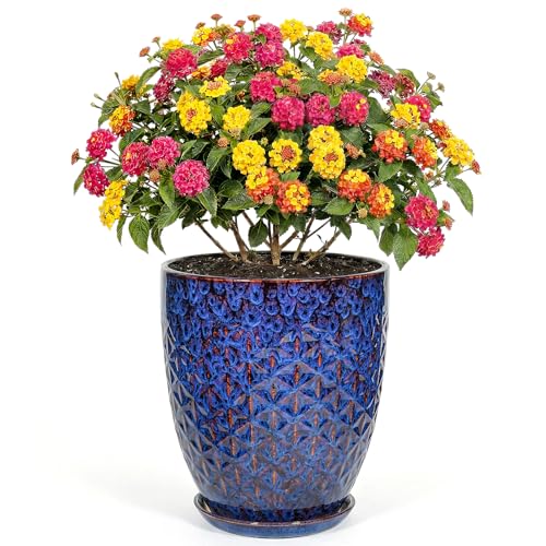 9.5 Inch Flower Pots for Indoor Plants,Ceramic Planter with Saucer Drainage Leak-Proof Mesh Gardening Gloves (Peacock-Blue) - color: Peacock-blue, size: 9.5 Inch