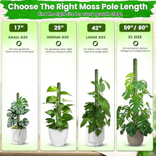 DUSPRO 42" Mesh Moss Pole for Climbing Plants, Pre-Made & Easy to Set Up - size: 42"