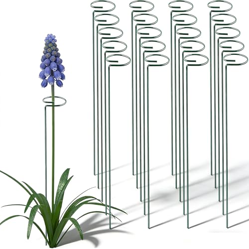 20 Pieces 16 inch Green Single Stem Plant Stakes Garden Plant Support Rings Flower Support Hoops Prop for Amaryllis Orchid Lily Rose Peony Gladiolus - color: Green-16-inch 20pack