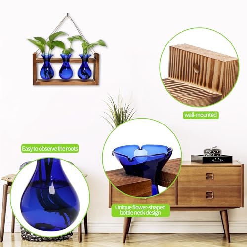 Plant Propagation Station Plant Terrarium Unique Birthday Gifts for Women - color: Blue