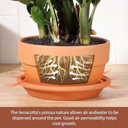 INGOFIN 8 Inch Terracotta Shallow Pots Set with Saucer - Ceramic Clay Pots with Drainage Hole, Terra Cotta Pot for Plants for Indoor Outdoor Plants, Set of 2 - size: Shallow 8/8 inch -2 pcs