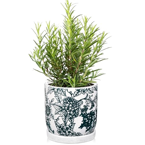 Ceramic Chinoiserie Planter, Ceramic Flower Pot with Drainage for Indoor & Outdoor, Chinese-Inspired Ceramic Plant Pot for Succulents, Herbs, Orchids, Garden, Tabletop, Shelf Decor, Green & White - color: # Green and White