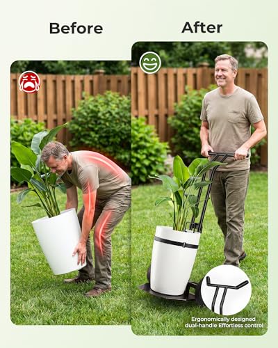 Brightown-Plant-Caddy-with-Wheels Heavy Duty, 200 Lbs Ergonomic Plant Dolly - color: Black