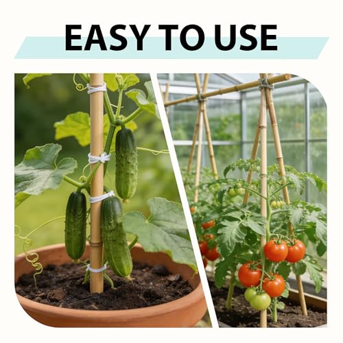 Bamboo Stakes 7FT, 50pcs Garden Stakes Specifically Designed for Climbing Plants, Ideal for Tomatoes, Beans, Cucumbers, Peppers, Vines, and More Plant Growth - size: 7FT, 50pcs