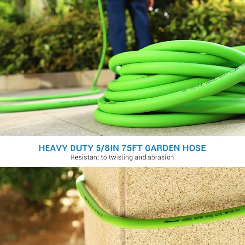 DEWENWILS Garden Hose 75 ft x 5/8", Water Hose with Swivel Handle, Heavy Duty, Lightweight, Flexible Hose for Plants, Car, Yard, 3/4 Inch Solid Fittings, Drinking Water Safe HHGH75A1 - color: Green, size: 75 ft