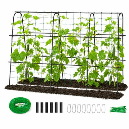 FOLLOOK Cucumber Trellis for Raised Garden Bed, 63x48inch, Black - color: Black, size: 63x48inch