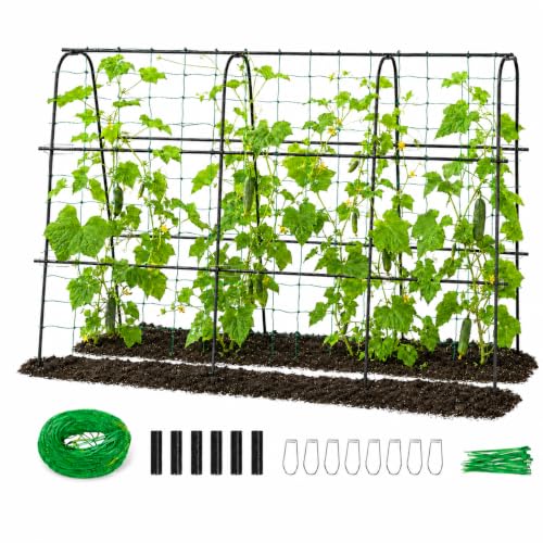FOLLOOK Cucumber Trellis for Raised Garden Bed, 63x48inch, Black - color: Black, size: 63x48inch
