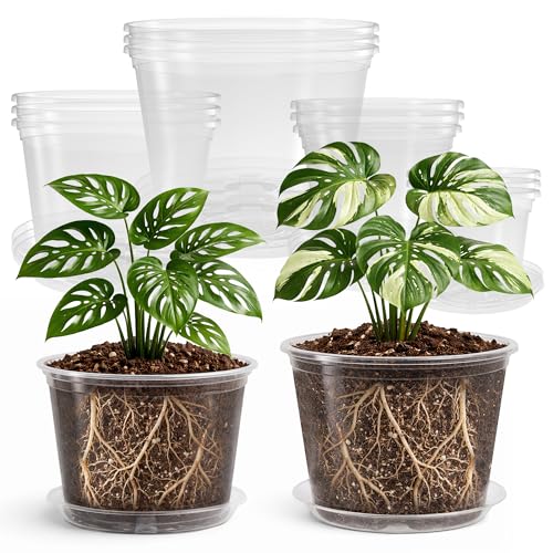Bluepro Clear Nursery Pots with Saucers, 5/6/8/10 Inch, 12-Pack - size: 5/6/8/10 Inch-12Pcs