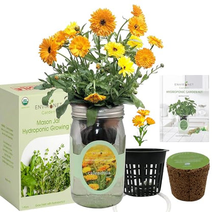 Hydroponic Calendula Growing Kit, Self-Watering Mason Jar Garden Starter Kit Indoor, Grow Calendula from Organic Seeds - color: Calendula