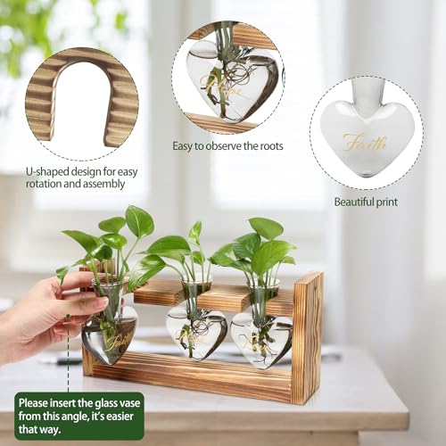 Plant Terrarium Propagation Stations Hydroponics - color: Gray(Faith Hope Love)