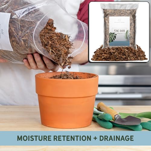 100% Natural Pine Bark Mulch Nuggets (8 Quarts), Small Mulch Chips for Indoor/Outdoor Container Gardening, Ideal for Soil Supplement, Houseplant Mulch - size: 8 Quarts