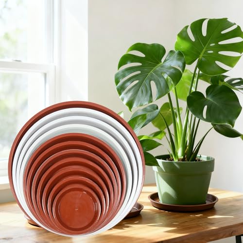8 Pack 4 5 6 8 Inch Terracotta Plant Saucers Plastic Drip Trays - color: Terracotta, size: 4 Inch, 5 Inch, 6 Inch, 8 Inch