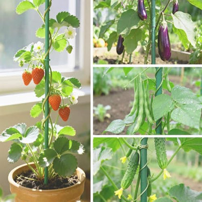 50pcs Garden Stakes 2FT, Plastic Coated Steel Plant Stakes Specifically Designed for Climbing Plants, Ideal for Tomatoes, Beans, Cucumbers, Peppers, Vines, and More Plant Growth - size: 2FT, 50pcs