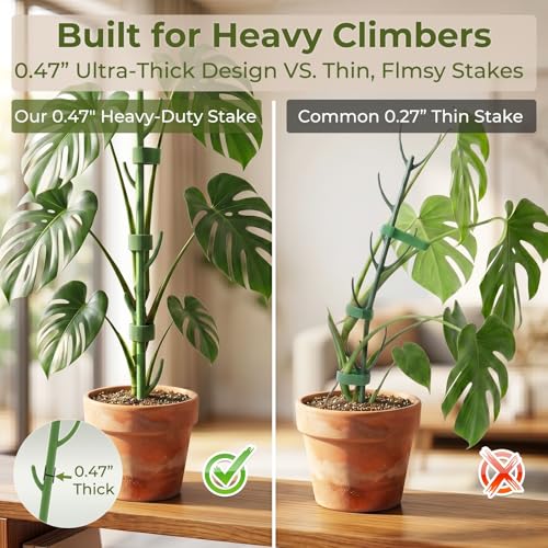 10-Piece Thick Plant Support Stakes: Stackable for Monstera Climbing Vines - color: Forrest Green