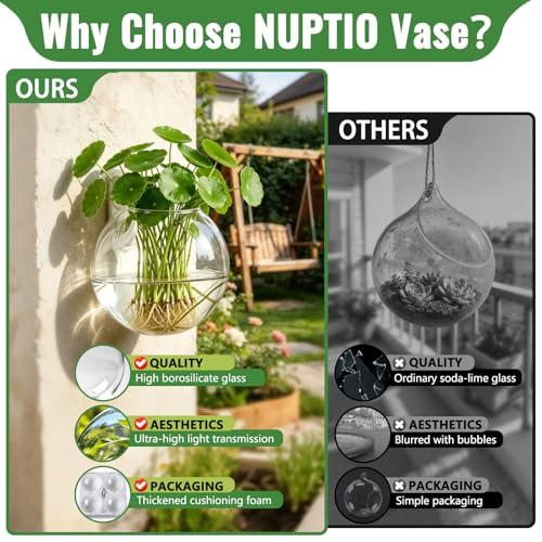 NUPTIO Glass Wall Hanging Planters: Propagation Station for Plants, 4 Pcs - size: 4 Pcs