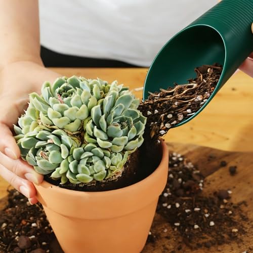 Bonsai Soil Scoop Plastic Garden Shovel, Green, 1 Pcs, - color: Green