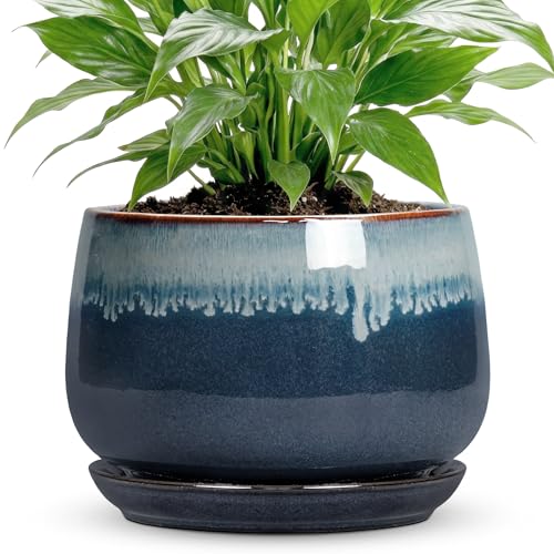 7 Inch Plant Pot Indoor, Ceramic Plant Pots, Retro Blue - size: 7 Inch, style: Retro