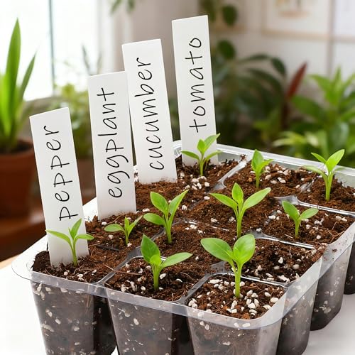 Bonviee 12-Pack Seed Starter Trays, 12-Cell Insert Trays, Clear - color: Clear, size: 12 Packs (144 Cells)