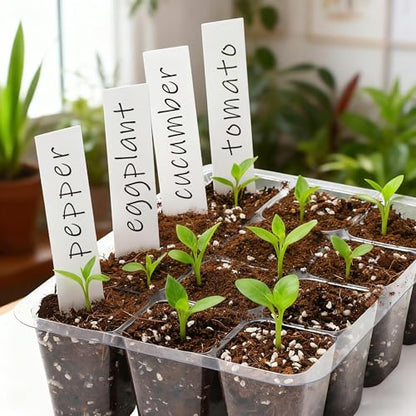 Bonviee 12-Pack Seed Starter Trays, 12-Cell Insert Trays, Clear - color: Clear, size: 12 Packs (144 Cells)