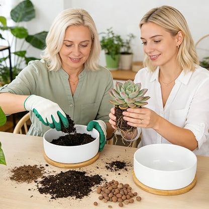 White Ceramic Succulent Plant Pots, Set of 2 Round Planter Small Cactus Container, Bonsai Pots, Succulent Pots with Drainage Hole& Bamboo Tray (No Plant) - color: Round*2