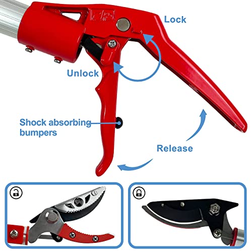 4 Section Extendable Tree Pruner & Pole Saw with Cut and Hold