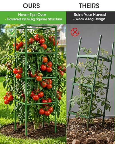 3 Pack Tomato Cages,Square Tomato Plant Stakes Support Cages Trellis for Garden Climbing Vegetables Flowers Fruits,Extra Bold - color: green