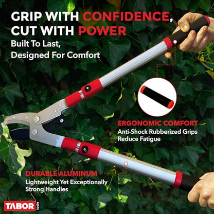 TABOR TOOLS GG22A Extendable Anvil Lopper with Compound Action, 27-40 Inch Telescopic Tree Trimmer & Branch Cutter, Long Reach Tree Pruner with 1 3/4 Inch Cut Capacity, Chops Thick Dry Branches w Ease - style: GG22A 27"-40" Extendable Anvil Lopper with le