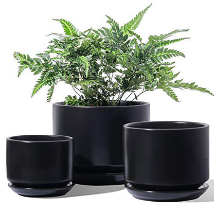 LE TAUCI Ceramic Pots for Plants, 4.3+5.3+6.8 Inch, Set of 3, Black - color: Black, size: 4.3"+5.3"+6.8"