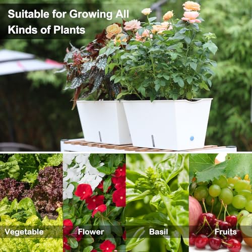 Window Box Planter 6 Pcs, 12.1 Inches Self Watering Plant Pots Rectangle Flower Pots with Drainage Holes and Breathable Trays, Vegetable Planters for Windowsill Patio Garden Balcony Porch Yard (White) - color: White, size: 12.1*6.4*6.3 inch