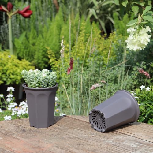 17 PCS 3.55" Plastic Deep Nursery and Seedling Pots, Round Transplant Seed Starter Planter,Gray Color - color: Gray, size: 3.55 inch