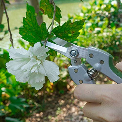 Garden Scissors Hand Pruner Pruning Arranging Flowers, Trimming Plants and Harvesting Herbs, Fruits or Vegetables 7 Inch 6146-13903-01A