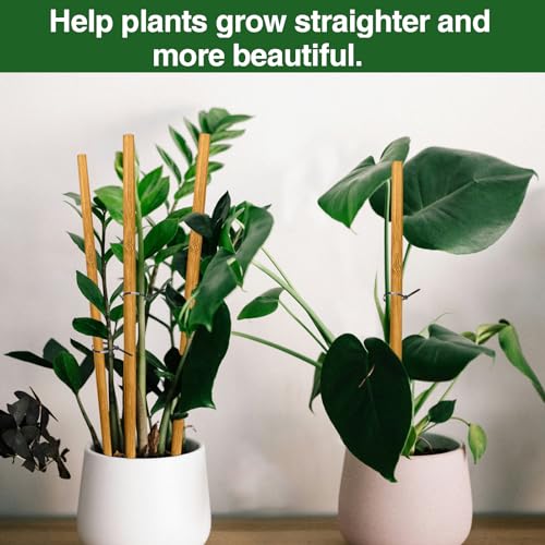 12 Pack 17.5 Inch Plant Stakes for Indoor Plants,Bamboo Sticks for Plants Bamboo Poles Plant Support Stakes Garden Supplies Tomato Trellis for Outdoor Plants