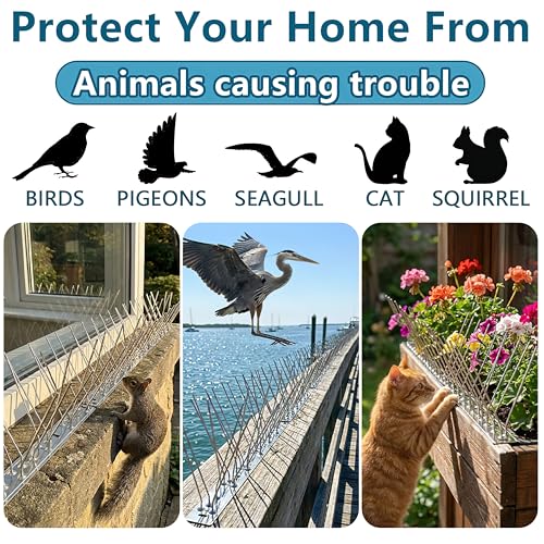 304 Stainless Steel Bird Spikes for Outside, Durable Pigeon Spikes Fence Kit to Keep Small Birds, Crows and Woodpeckers Away, Outdoor Scare Devices, 6 Pcs Covers 4.92 FT - size: 4.92Ft