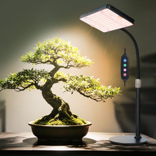 FECiDA Bonsai Grow Light, Table Grow Lights for Indoor Plants Collection - size: 1-Head Timer