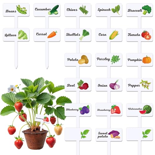 JarThenaAMCS 22Pcs Acrylic Vegetable Plant Label Signs 22 Styles Funny Cartoon Garden Markers Waterproof T-Type Tags Plant Stake Tags with Names for Nursery Indoor Outdoor Garden Decor