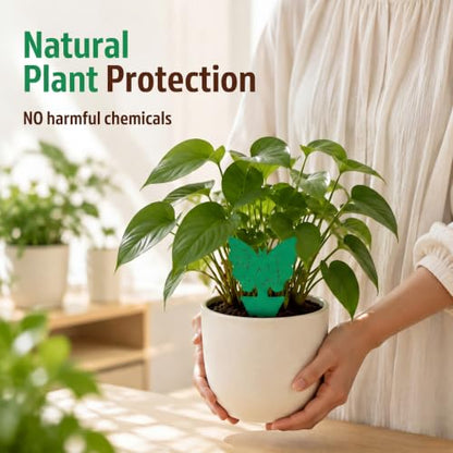 100 Pack Gnat Traps, Double Sided Plant Sticky Traps for Indoor Bug, Green - color: Green
