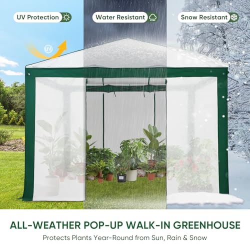 EAGLE PEAK 10x10 Walk in Pop Up Greenhouse, Green/White - color: Green/White, size: 10x10