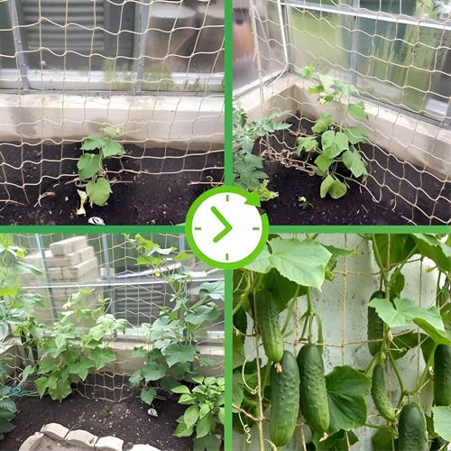 Jute Trellis Netting - Jute Netting for Climbing Plants, Heavy Duty Garden Plant Support Netting for Cucumber, Vine, Fruits & Vegetables Tomato Plants Trellis Net (6.6 x 16.4 Ft, 3.9 Inch Squares)