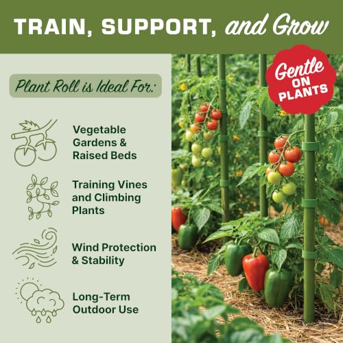Plant Tie Roll 1/2" x 16' - Plant Support Roll, Garden Plant Tie, Reusable Hook and Loop Plant Tape for Stakes, Trellises, Tomato Cages & Young Trees, Cut to Size, Green