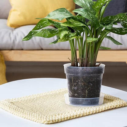 6 Inch Clear Plastic Plant Pot with Drainage Holes, Interlocking & Detachable Tray - Deep Saucer - Durable BPA-Free Plastic, Transparent Design, Raised Base for Airflow, Set of 6, 92-X-A-5 - size: 6" x 5.5"