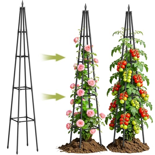 Obelisk Trellis for Climbing Plants Outdoor,6 Ft Garden Trellis for Potted Plants, Metal Trellis with Anti-Rust Coated for Potted Plants Indoor, Plant Support for Vegetables, Vines - size: 6.0 FT