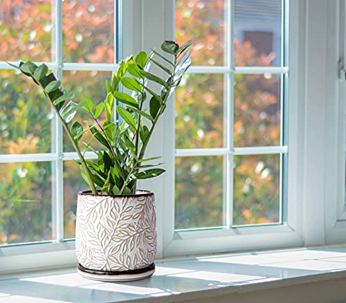 D'vine Dev Embossed Leaves Ceramic Planter, 6 in, Smoked White, 27-A-X-1 - color: Smoked White, size: 6 Inch
