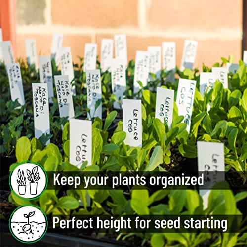 Mr. Pen- Plastic Plant Labels, 100 Pcs, 4“, White - color: White Plant Labels