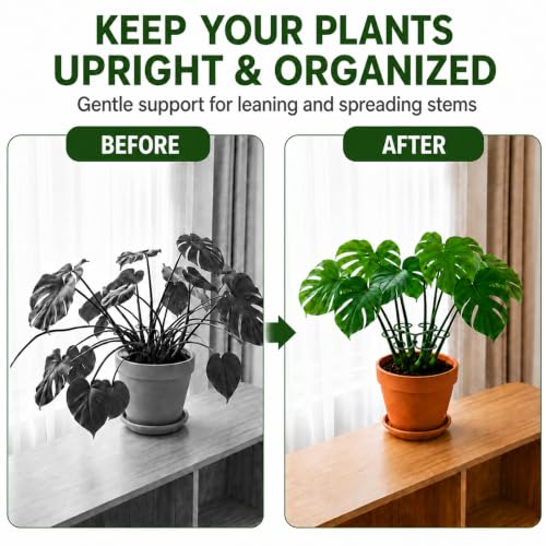 2PCS Monstera Plant Support, 4.1 Inch Metal Plant Stem Support with 6 Rings for Indoor Plants, Plant Stakes and Stem Holders for Monstera and Potted Plants(Green) - color: Green