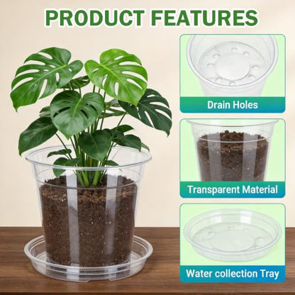 THTLTLGT 3.5/4/5/6 Inch Clear Nursery Pots with Drainage for Plants 20 PCS